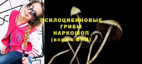 a pvp Елабуга